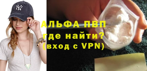 гашик Верея