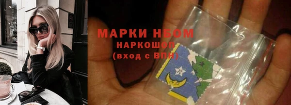 гашик Верея
