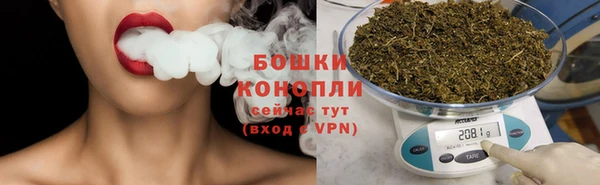 гашик Верея