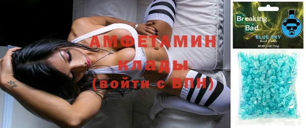 гашик Верея
