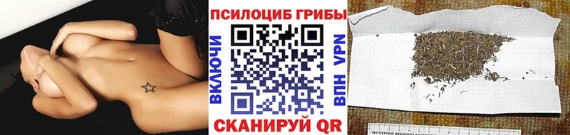 Псилоцибиновые грибы Magic Shrooms кракен вход Павловский Посад